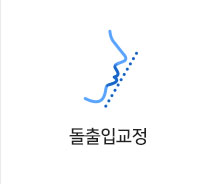 돌출입교정